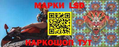 МДПВ Донецк