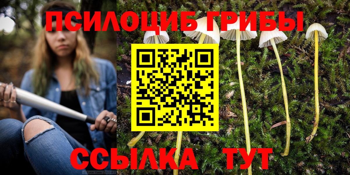 наркота  Галлюциногенные грибы прущие грибы  Вход с VPN  Кызыл  Галлюциногенные грибы Psilocybe 