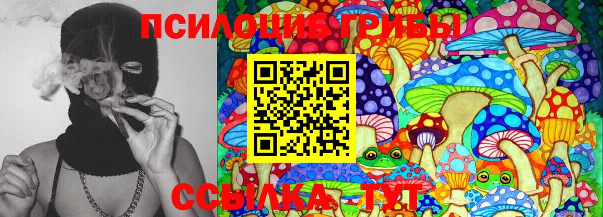 Псилоцибиновые грибы MAGIC MUSHROOMS Кызыл